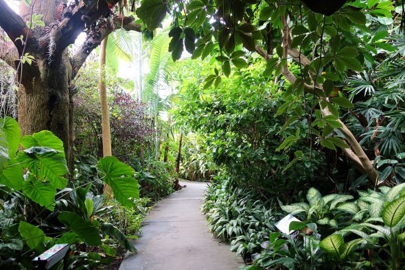 Five Best Botanical Gardens for Tourists and Residents in the Boroughs of New York City