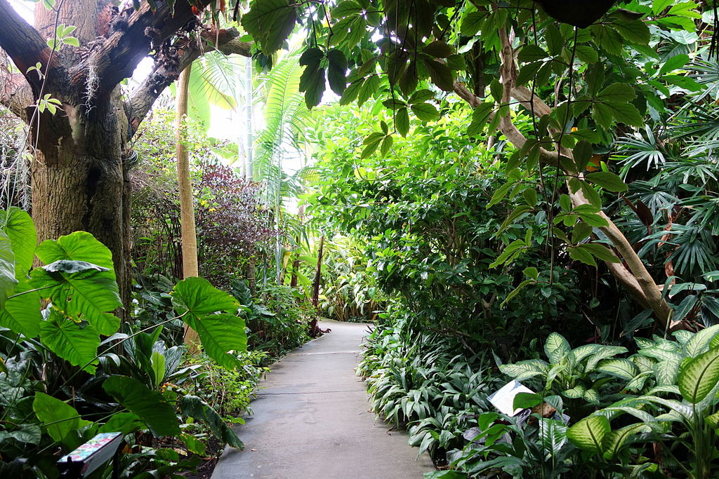 Five Best Botanical Gardens for Tourists and Residents in the Boroughs ...